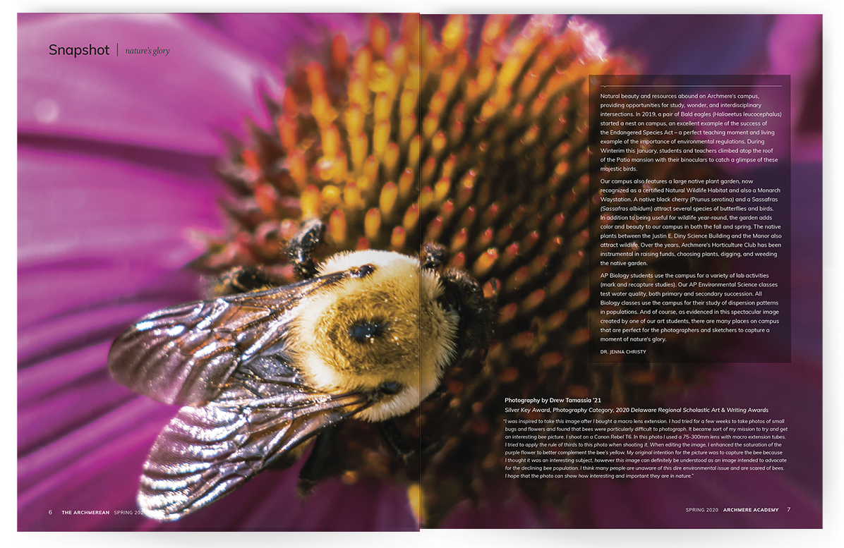 Photo of The Archmerean